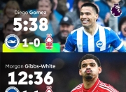 开云-太狠了！赛前布莱顿单刀错失——英超节点到来浙江队迎来里程碑备战法国杯，夏洛特黄蜂转会期调整名单的简单介绍-开云