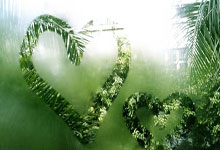 开云app->林-开云app